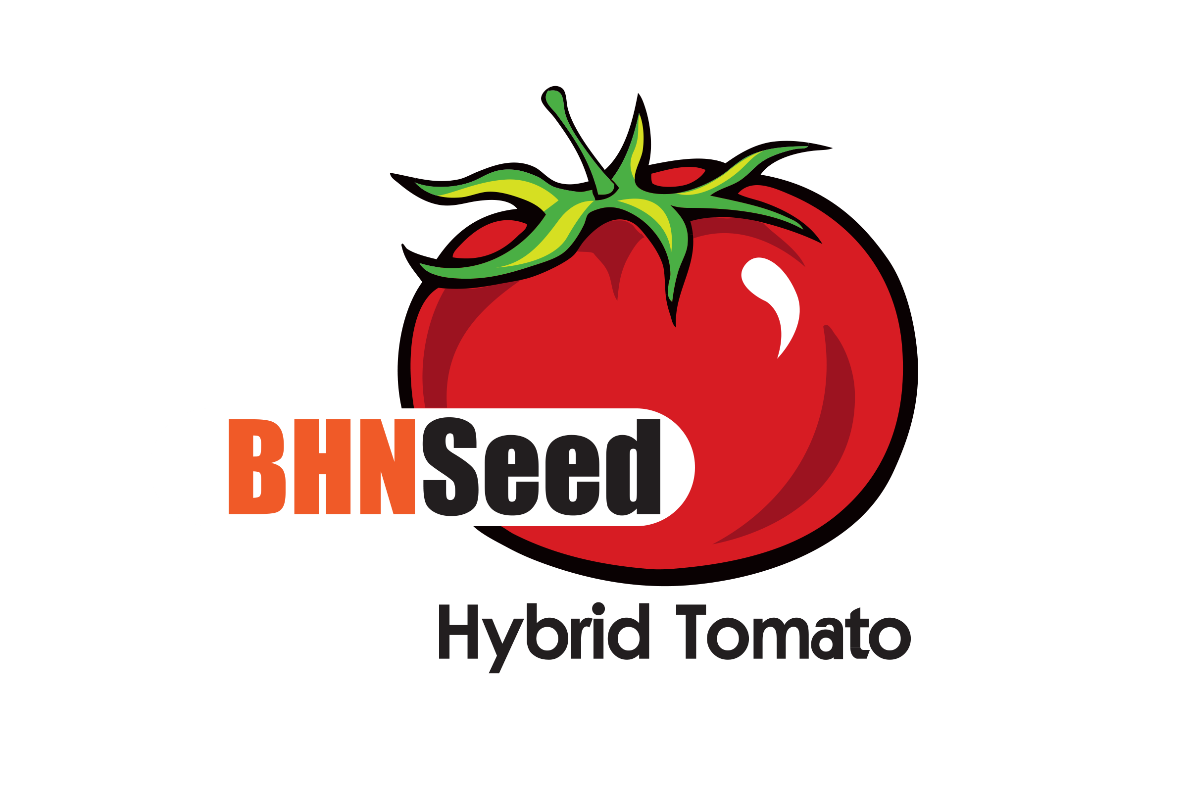BHN Seed
