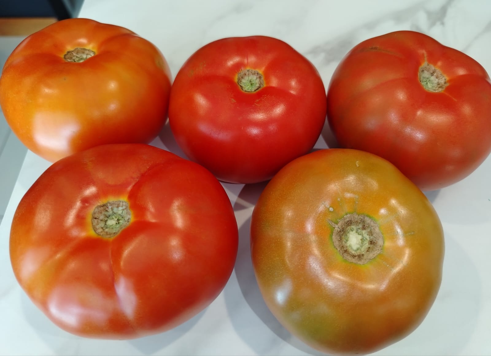 Tomate