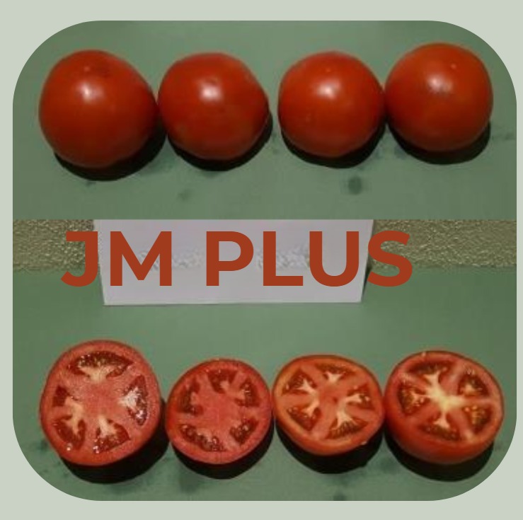 JM PLUS — Frutos y corte
