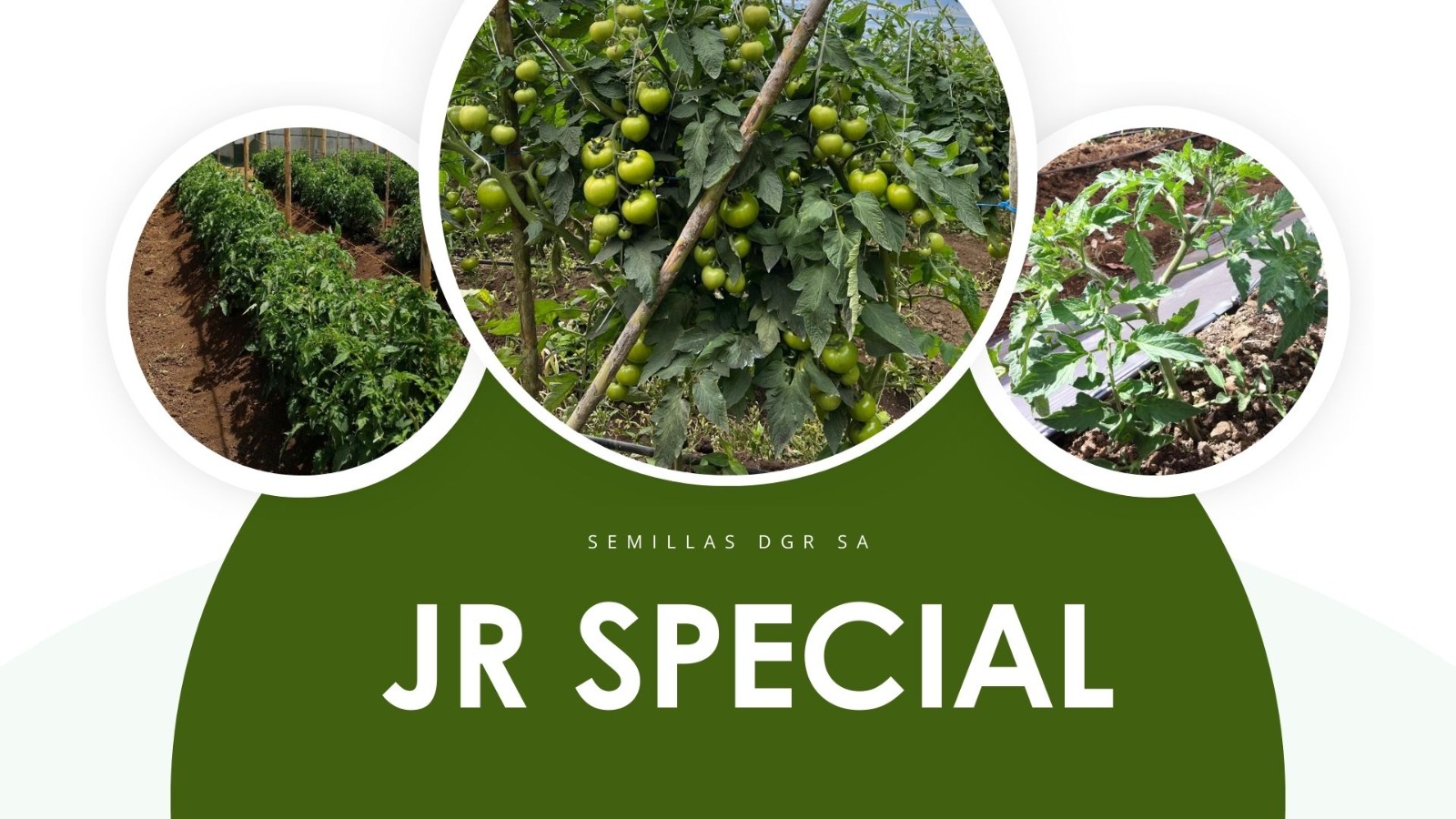 JR Special — Marca