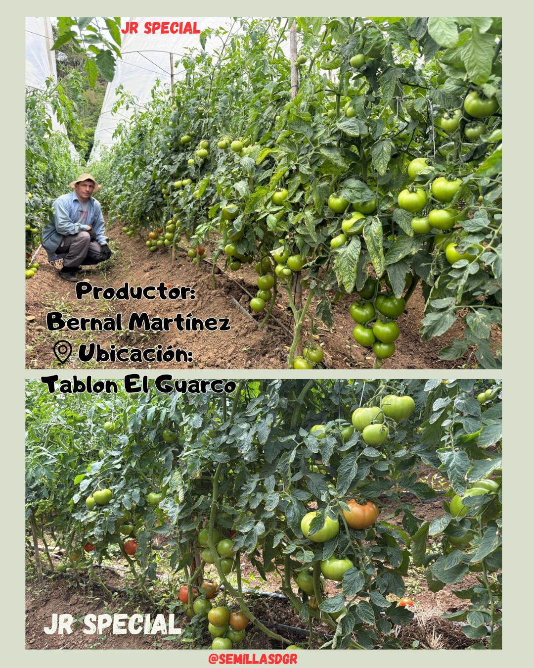 JR Special — Productor Bernal Martínez