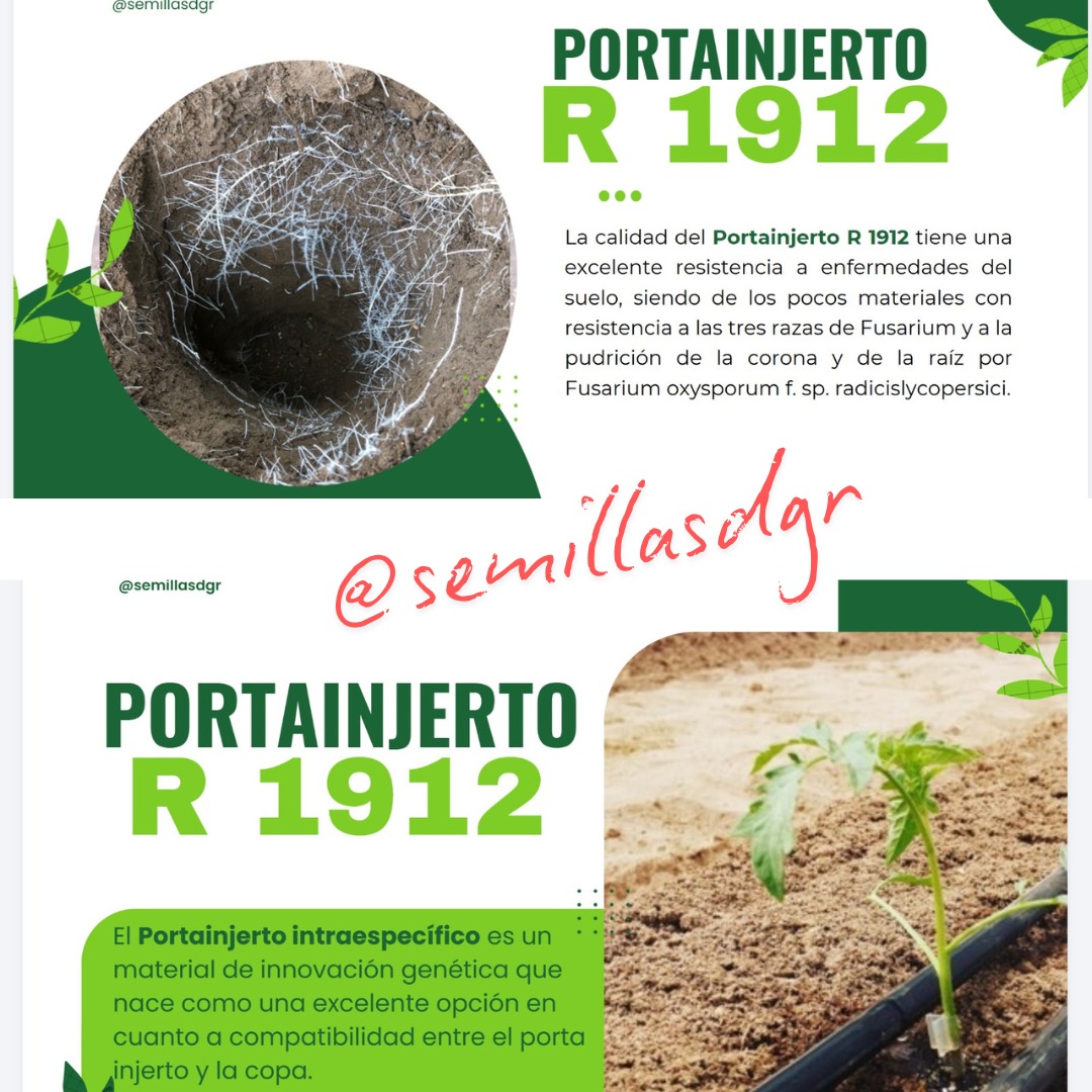 R 1912 — Información