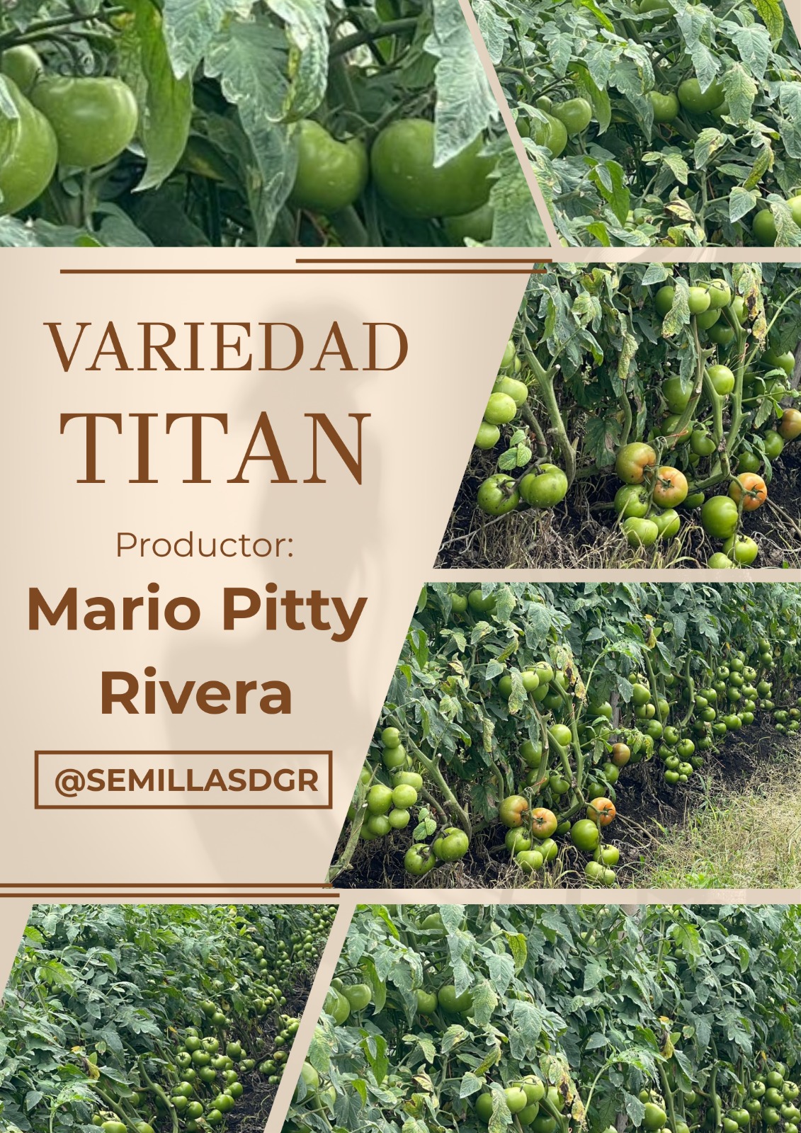 TITAN — Productor Mario Pitty