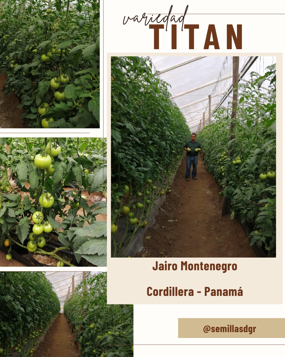 TITAN — Jairo Montenegro, Panamá