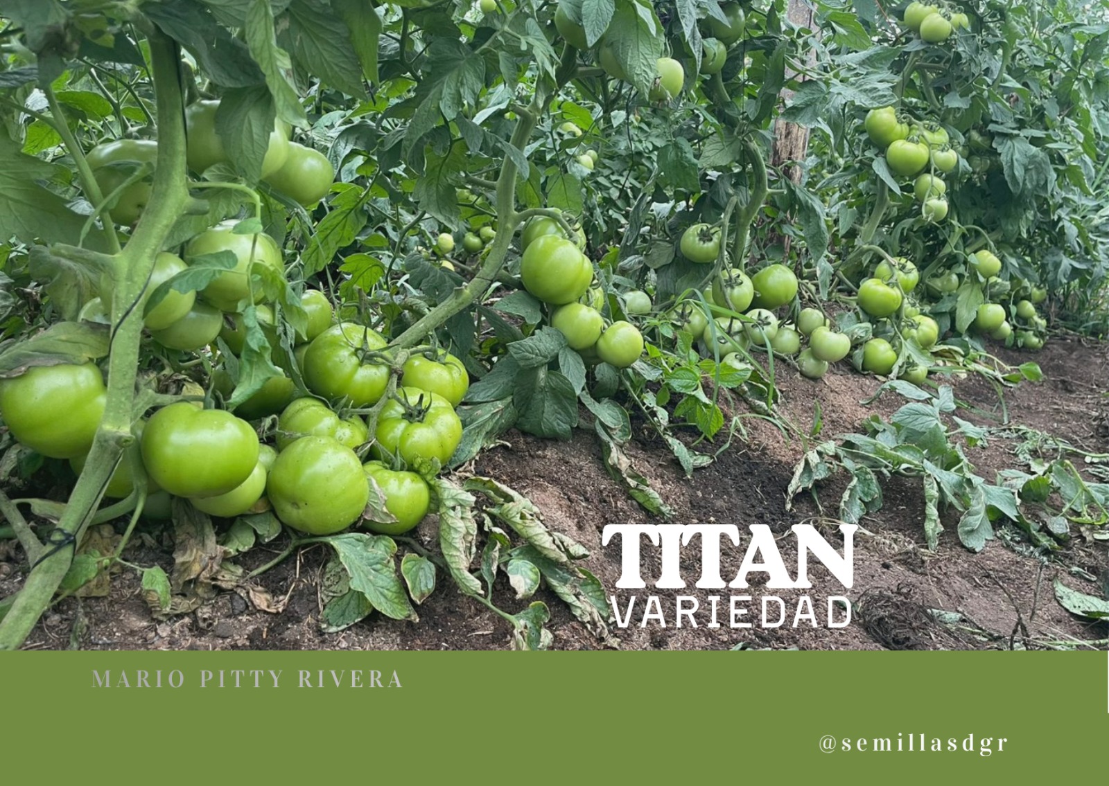 TITAN — Carga horizontal